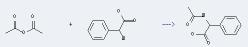 Benzeneacetic acid, a-(acetylamino)- can be prepared by acetic acid anhydride and amino-phenyl-acetic aci